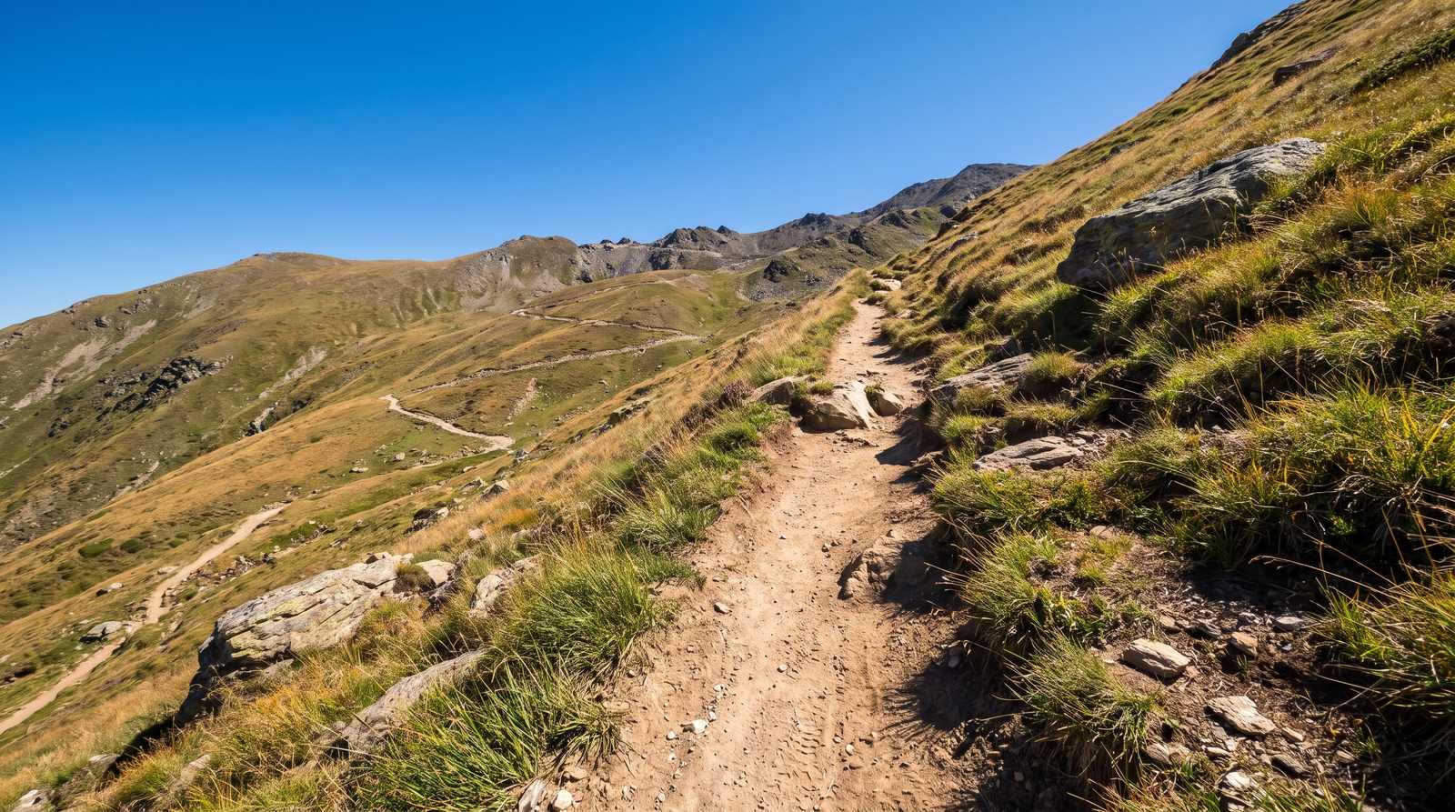 A narrow dirt trail climbs a steep grassy mountain slope in bright midday sun, with more trail winding up the hillside beyond